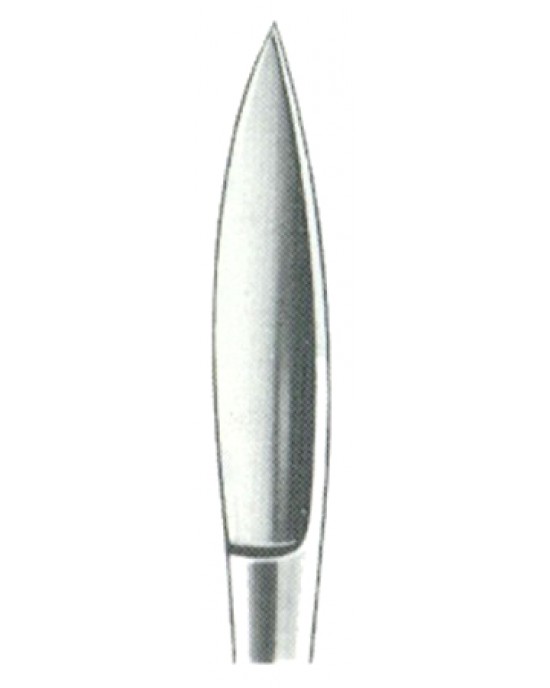 Dissecting Knives 17cm/6 3/4