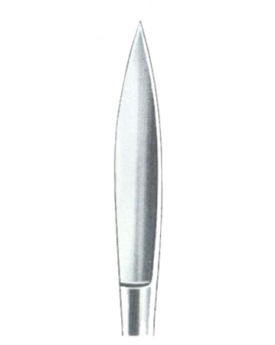 Dissecting Knives 17cm/6 3/4