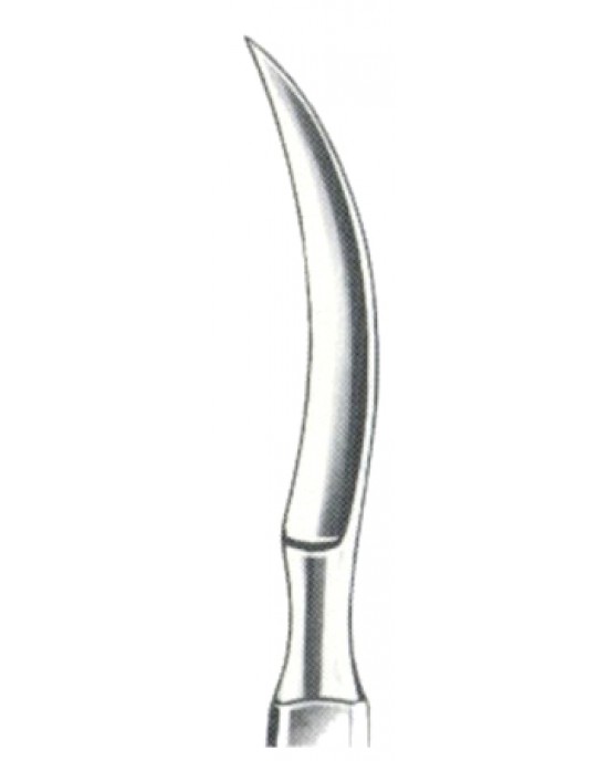 Bergmann Dissecting Knives 14.5cm/5 3/4