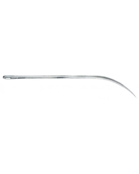 Post Mortem Needle Fig # 1