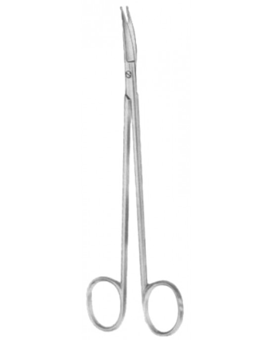 Strully Dissecting Scissors 22cm/8 3/4