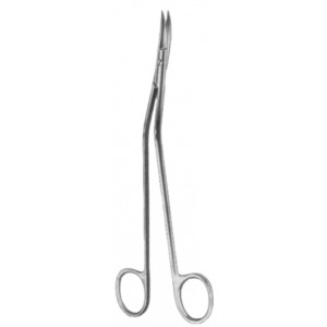 Dandy Dissecting Scissors 17cm/6 3/4