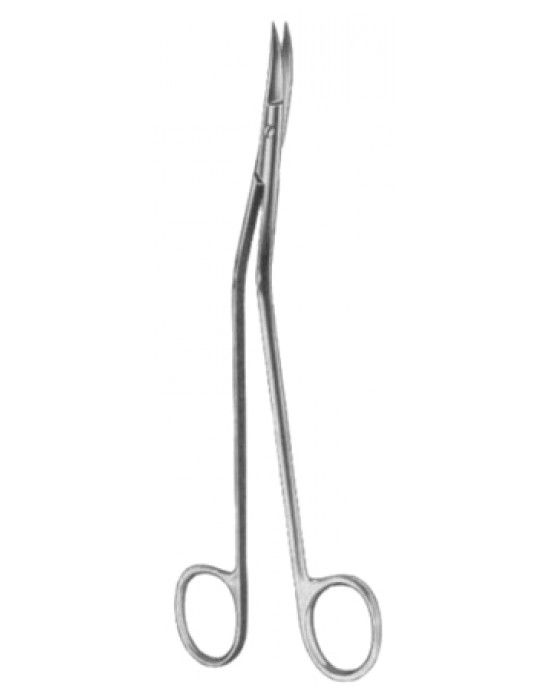 Dandy Dissecting Scissors 17cm/6 3/4