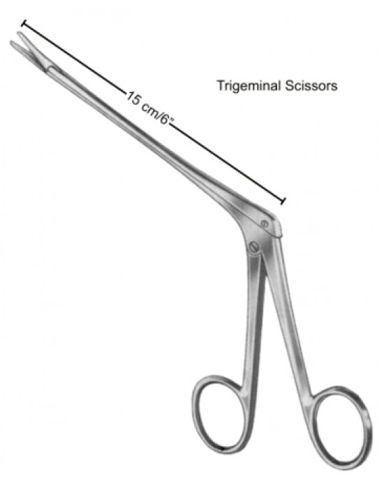 Olivecrona Trigeminal Scissors 15cm/6