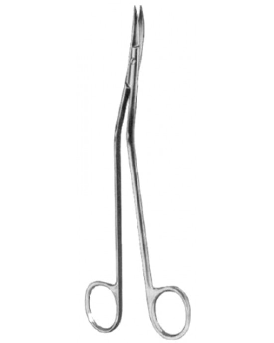 Dandy Dissecting Scissors 17cm/6 3/4