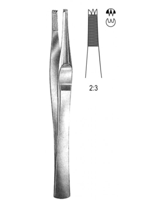 Lanes Tissue Fcps 2x3T 18cm