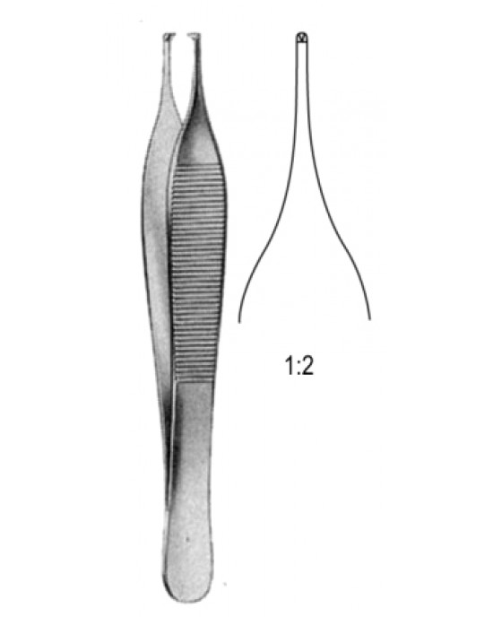 Adson Tissue Fcps 1x2T 12cm