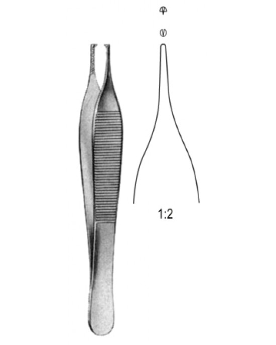 Adson Tissue Fcps 1x2T, w/ cross serr 12cm