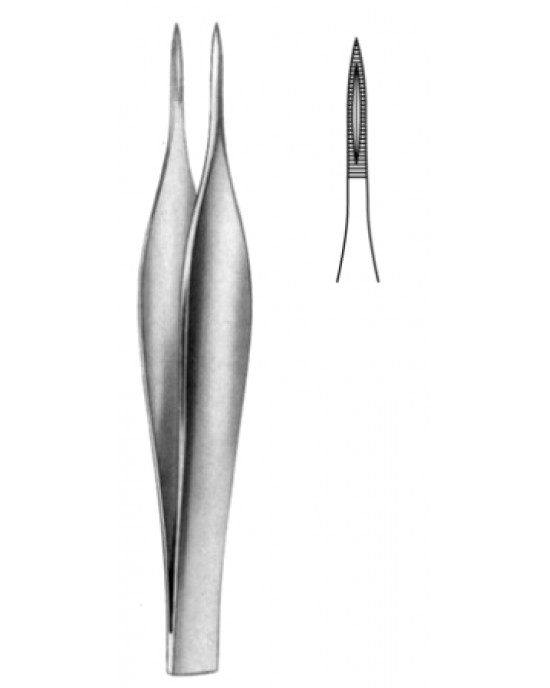 Feilchenfeld Splinter Fcps 9cm