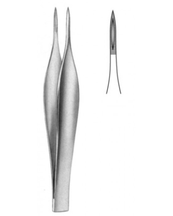 Feilchenfeld Splinter Fcps 11.5cm