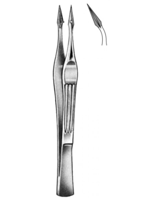 Walter Carmalt Splinter Fcps cvd 10.5cm