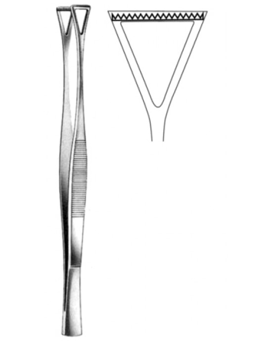 Collin Duval Tissue Fcps 27mm jaws 20cm