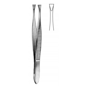 Littauer Cilia Fcps 8.5cm