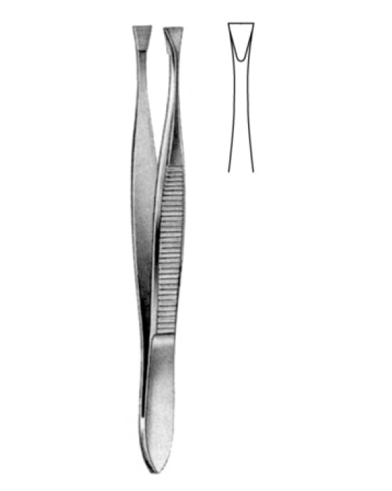 Littauer Cilia Fcps 8.5cm