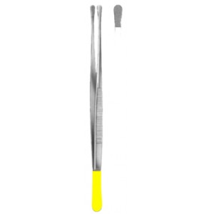 Wangensteen Dressing Forceps 23cm/9