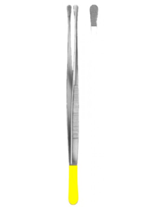 Wangensteen Dressing Forceps 25cm/10