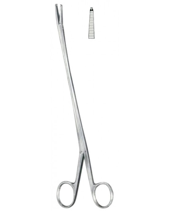 Brand Tendon Seizing Forceps 24cm/9 1/2