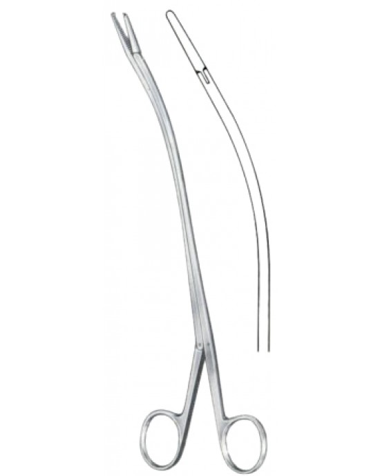 Brand Tendon Seizing Forceps 24cm/9 1/2