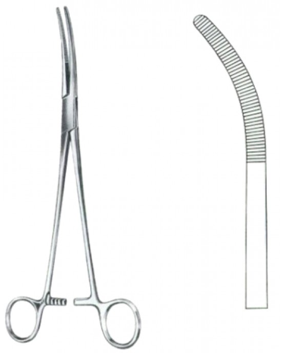 Rumel Dissecting Forceps BJ 23cm/9