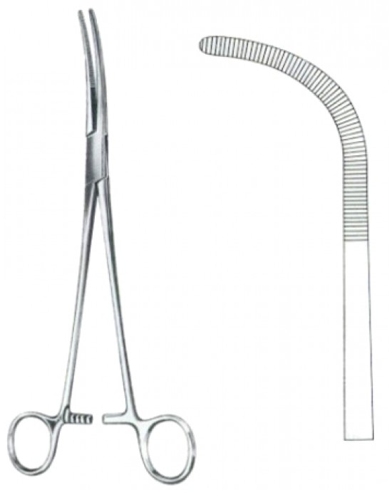 Rumel Dissecting Forceps BJ 23cm/9