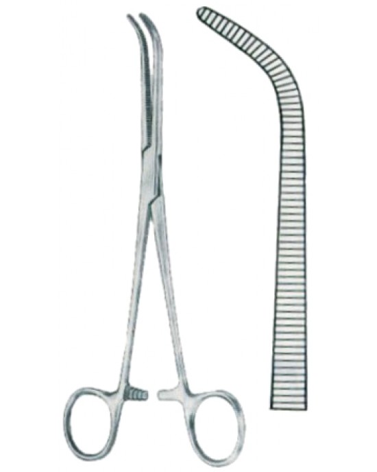 Johns Hopkins Dissecting Forceps BJ 20cm/8