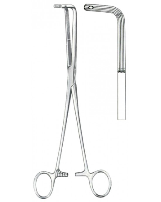 Finocchietto Gall Stone Clamps BJ 24cm/9 1/2