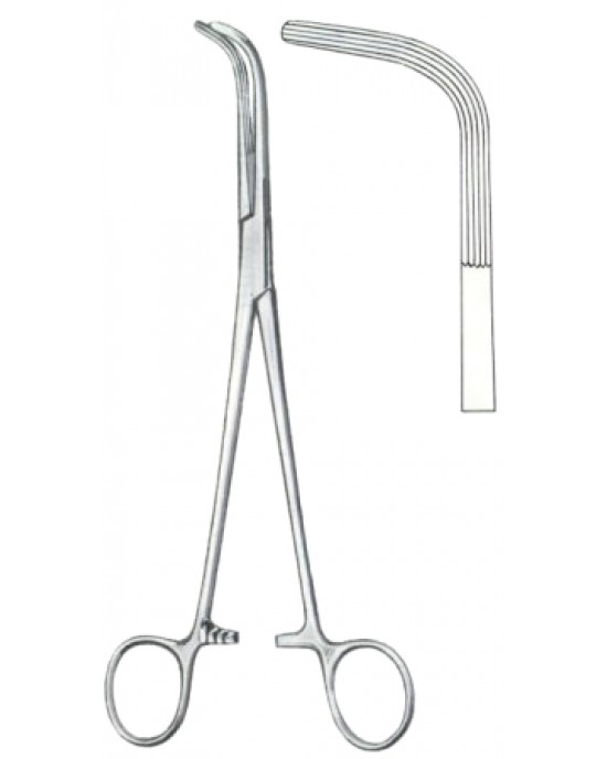 Mc Quigg-Mixter Gall Stone Clamps BJ 22cm/8 3/4