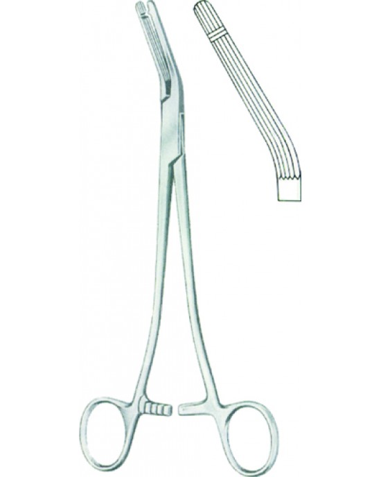 Garland Clamp Forceps BJ 21cm/8 1/4