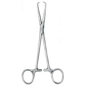 Barnhard Towel Forceps BJ 16.5cm/6 1/2