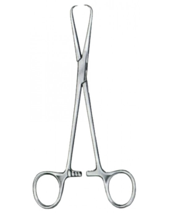 Barnhard Towel Forceps BJ 16.5cm/6 1/2