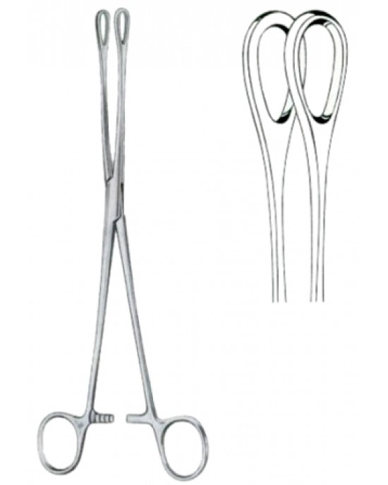 Foerster Sponge Holding Forceps BJ Straight 25cm/10