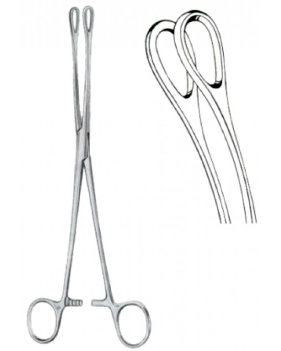 Foerster Sponge Holding Forceps BJ Curved 20cm/8