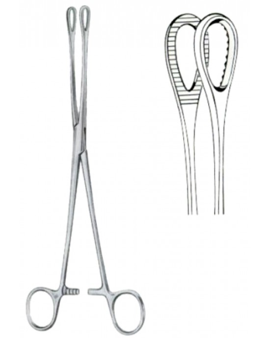 Foerster Sponge Holding Forceps BJ Straight 18cm/7