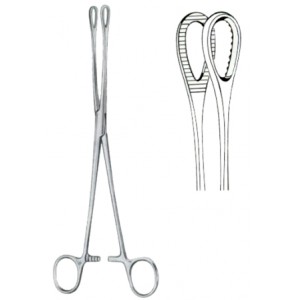 Foerster Sponge Holding Forceps BJ Straight 20cm/8