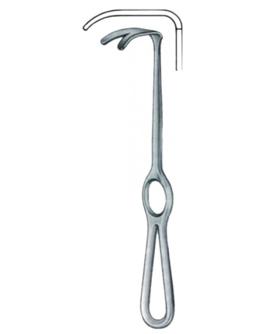 Wassmund Retractors 20cm/8