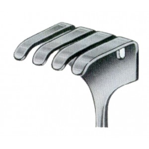 Isreal Retractors 4 Prongs 40x40mm 25cm/10
