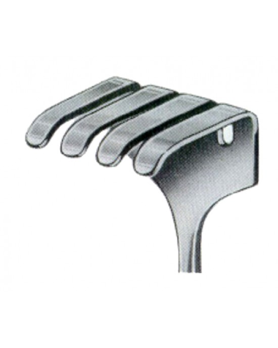 Isreal Retractors 4 Prongs 40x40mm 25cm/10