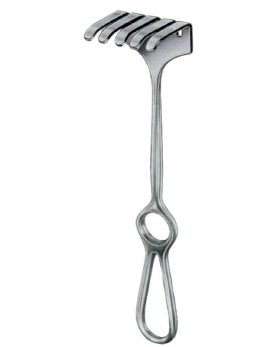 Isreal Retractors 5 Prongs 40x50mm 25cm/10
