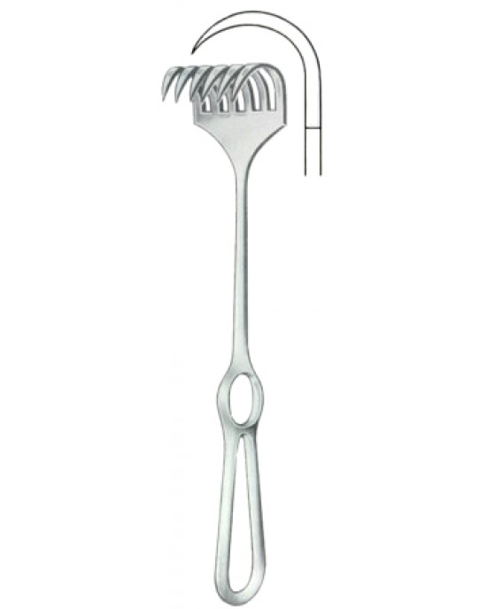 Koerte Retractors Sharp 6 Prongs 50x25mm 24cm/9 1/2