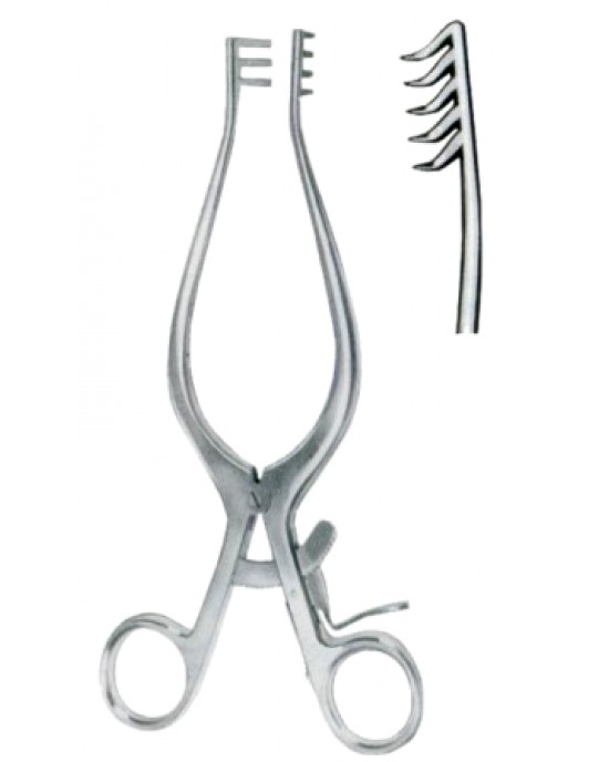 Weitlaner Retractors 5x6 Teeth Sharp 25cm/10