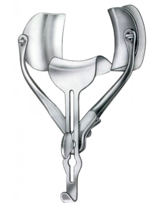 Central Blades Fig # 1