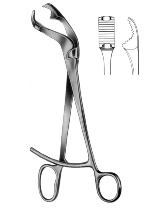 Verbrugge Bone Holding Forceps CJ 25cm/10