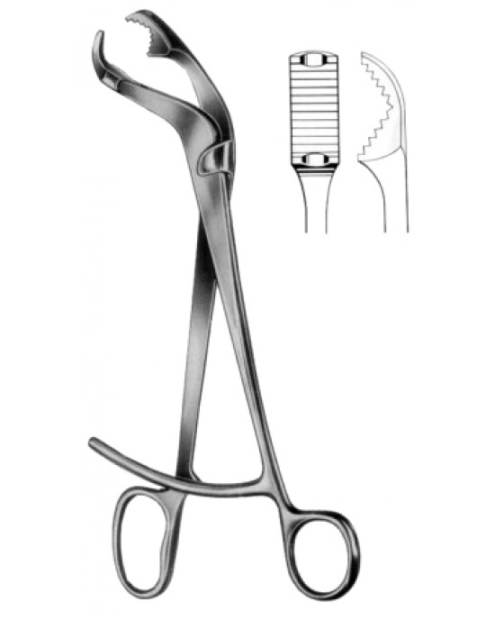 Verbrugge Bone Holding Forceps CJ 26cm/10 1/4