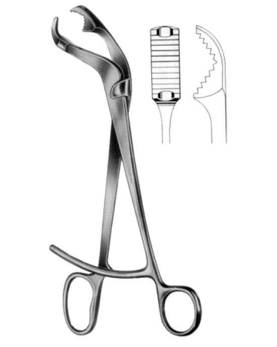 Verbrugge Bone Holding Forceps CJ 27cm/10 1/2