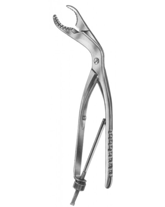 Bone Holding Forceps SJ 25cm/10