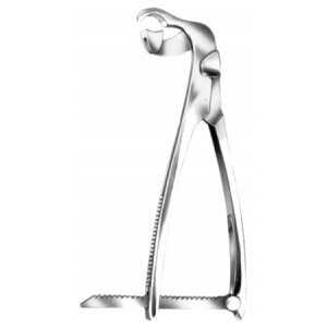 Lambotte Bone Holding Forceps 26cm/10 1/4