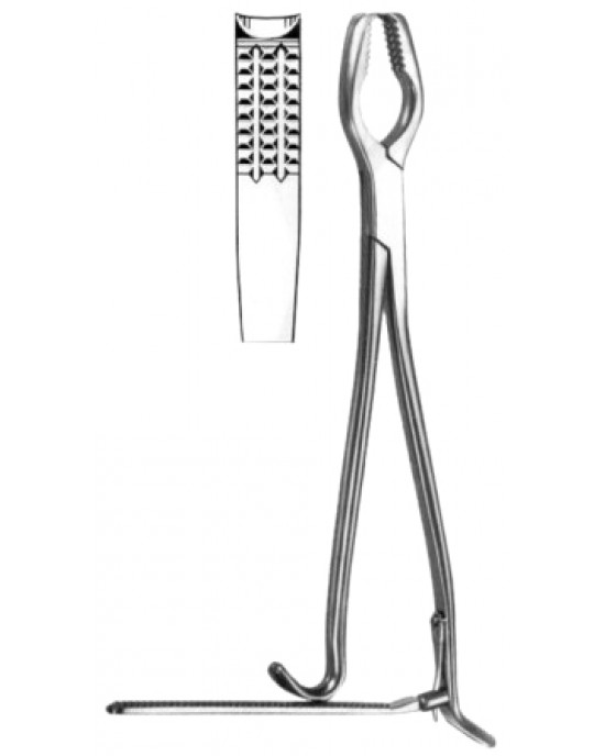 Lane Bone Holding Forceps BJ 33cm/13