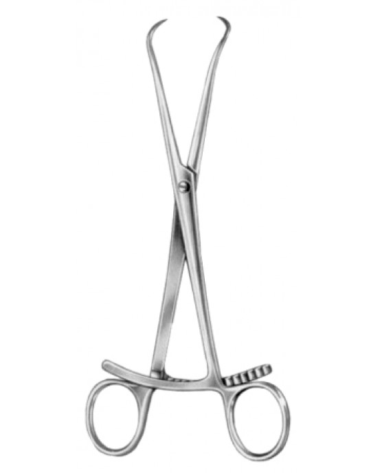 Bone Holding Forceps SJ 20cm/8