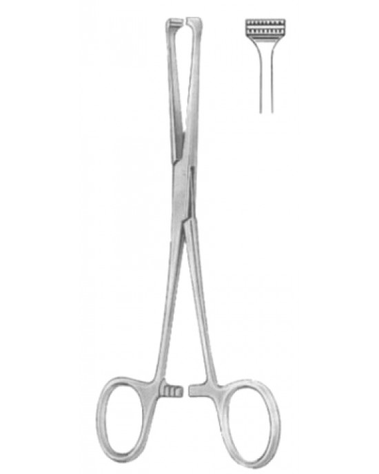 Steinmann Tendon Seizing Instruments BJ 16cm/6 1/4
