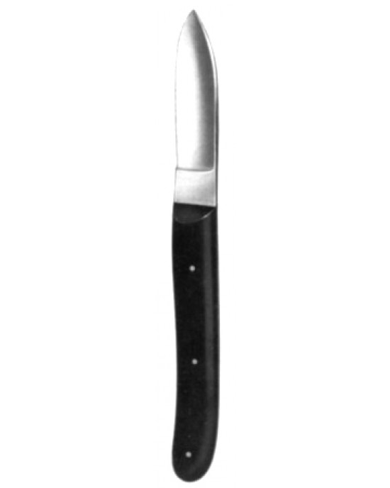 Hopkins Plaster Knife w/plastic handle 20cm